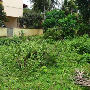 Land For Sale Galle - Image 2
