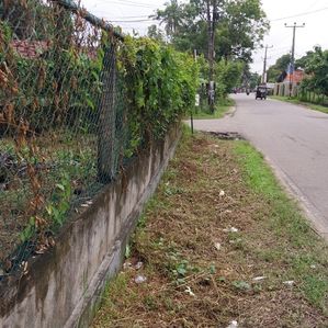 Land with House for Sale in Pamunugama - Image 3