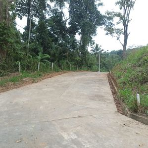 Land Sale in Peradeniya - Image 2