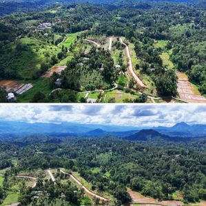 Land Sale in Peradeniya - Image 4