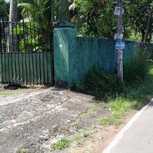 මීගමුව, දිවුලපිටිය ප්‍රධාන මාර්ගයට ආසන්නව වටිනා ඉඩමක් විකිනීමට - Image 2