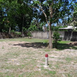 මීගමුව, දිවුලපිටිය ප්‍රධාන මාර්ගයට ආසන්නව වටිනා ඉඩමක් විකිනීමට - Image 4