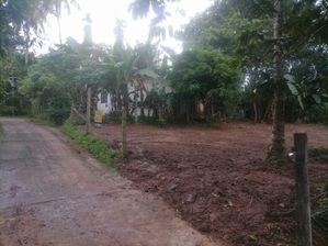 Land Sale in Galwala Junction Makola