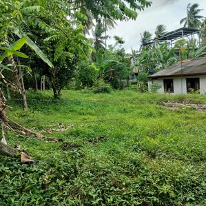 Land Sale in Galwala Junction Makola - Image 2