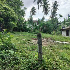 Land Sale in Galwala Junction Makola - Image 3