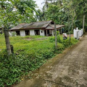 Land Sale in Galwala Junction Makola - Image 4