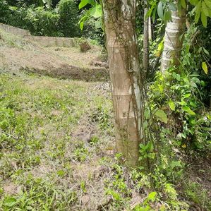Land for sale in Kiribathkumbura - Image 4