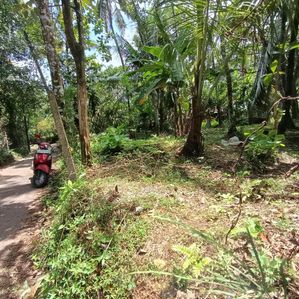Land For Sale in Kadawatha , Ganemulla - Image 2