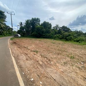 Land for Sale - Hanwella - Image 3