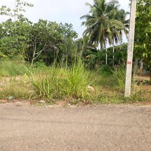 PRIME LAND FOR SALE - MORAGAHAHENA, THALAGALA - Image 2
