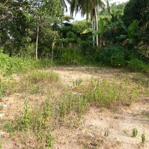 PRIME LAND FOR SALE - MORAGAHAHENA, THALAGALA - Image 4