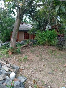 Land for Sale Dippitigoda