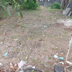 Land for Sale Dippitigoda - Image 3