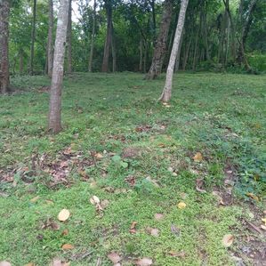 land for sale - Image 3