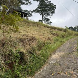 Land for sale in Kandy - Image 2