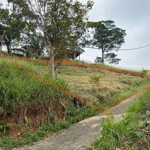 Land for sale in Kandy - Image 3