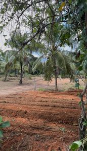 Weligama - Thelijjavila Main Road Land for sale