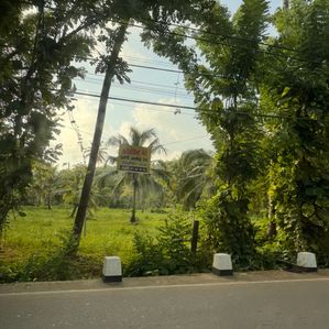 Weligama - Thelijjavila Main Road Land for sale - Image 4