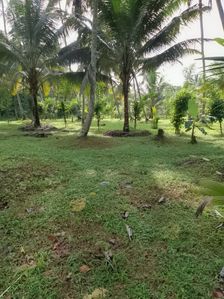 Land for sale Gonulla