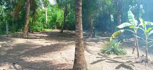 Land for Sale Wilegoda, Kalutara