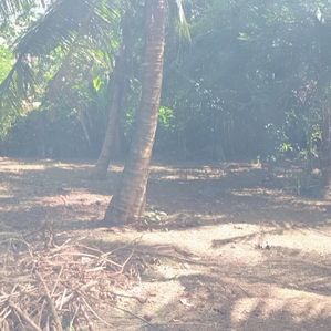 Land for Sale Wilegoda, Kalutara - Image 3
