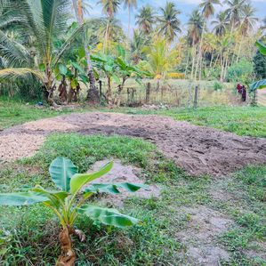 උඩුගම්පොල පර්චස් 35 ඉඩමක් විකිනීමට - Image 2
