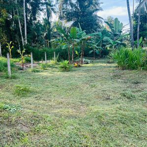 උඩුගම්පොල පර්චස් 35 ඉඩමක් විකිනීමට - Image 3