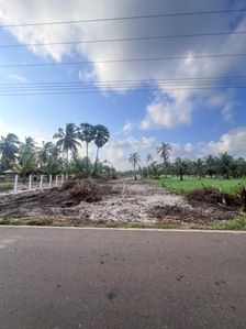 2 Acres Bare Land for Sale Sinnapaduwa