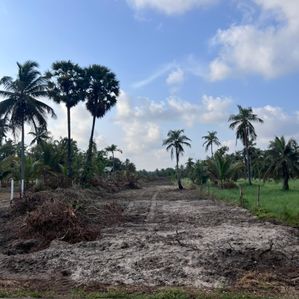 2 Acres Bare Land for Sale Sinnapaduwa - Image 2