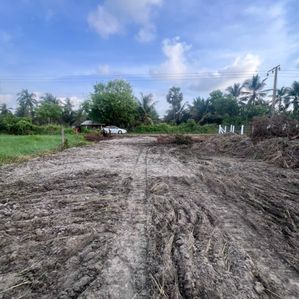 2 Acres Bare Land for Sale Sinnapaduwa - Image 3