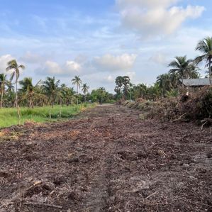 2 Acres Bare Land for Sale Sinnapaduwa - Image 4