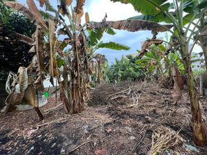 Land for Sale in Polgasowita (kesbawa)