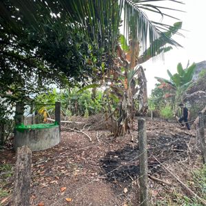 Land for Sale in Polgasowita (kesbawa) - Image 2