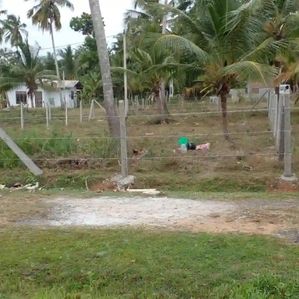 Land for Sale Tangalle - Image 2