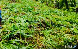 හොදම ඉඩමක් කහතුඩුව ජයගත් මාවතෙන්