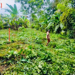 හොදම ඉඩමක් කහතුඩුව ජයගත් මාවතෙන් - Image 4