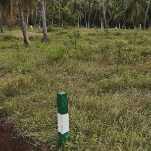 Valuable Land For Sale in Pothuhera - Kurunegala - Image 3