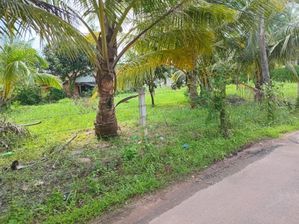 Land for Sale in Negombo- Thelwaththa Junction