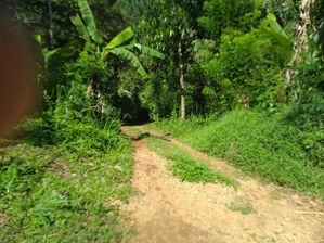 Land for Sale in Narampanawa