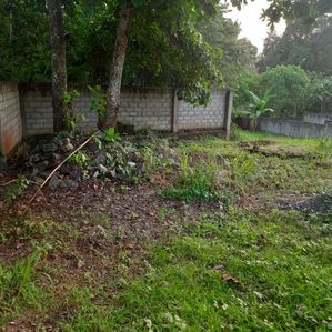 Commercial land for Sale or Long-Term Lease - Facing A9 Road, Matale - Image 3