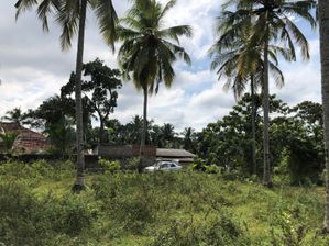 Highly Valuable Land for Sale Kotugoda