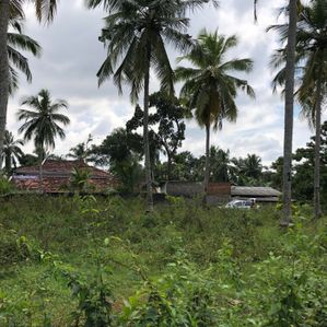 Highly Valuable Land for Sale Kotugoda - Image 3