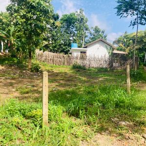 Prime Tourist Land for Sale in Dikwella Hirikatiya - Image 2