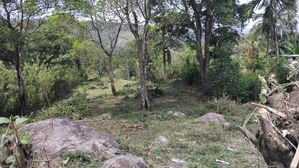 Land For Sale Badulla -Lunugala