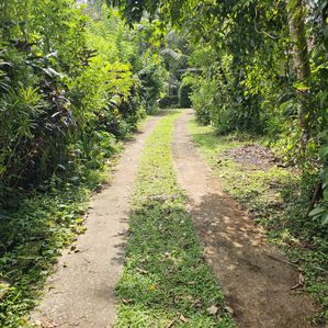මාතලේ කලුදෑවල, පර්චස් 58 ක ඉඩමක් විකිණීමට - Image 2