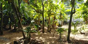 2 Lots with 10 Perches Each for Sale Kaduwela