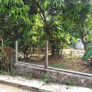 2 Lots with 10 Perches Each for Sale Kaduwela - Image 2