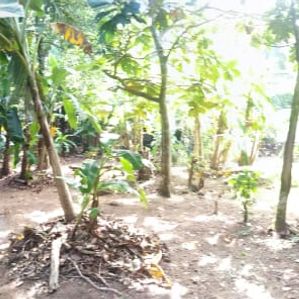 2 Lots with 10 Perches Each for Sale Kaduwela - Image 3