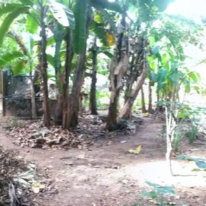 2 Lots with 10 Perches Each for Sale Kaduwela - Image 4