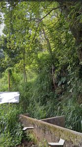 Primrose, Mabel Cooray Road Land Kandy for sale